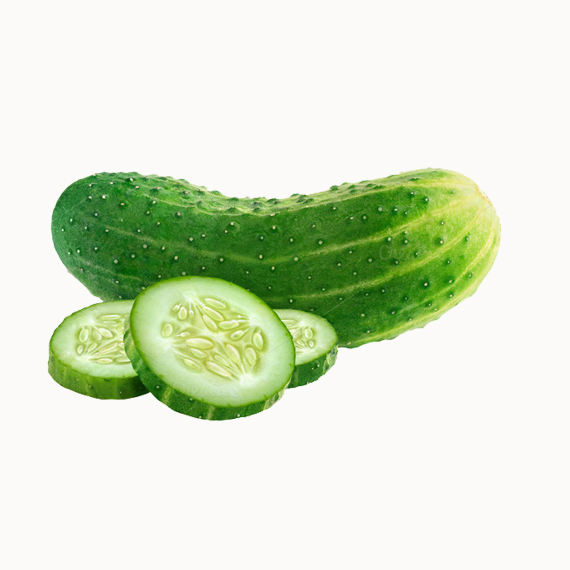 Cucumber - Image 4