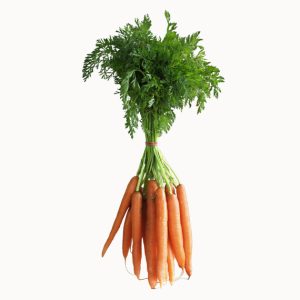 Carrot
