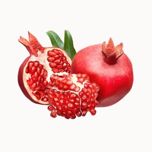 Sienevyi Pomegranate